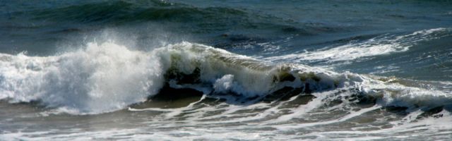 The waves were great, no whales at whale point though
