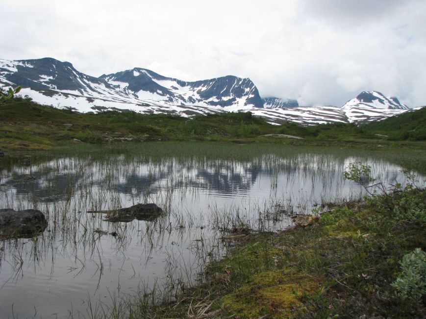 IMG_0421 storlidalen 1