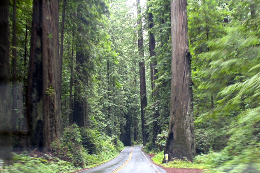 Lot's of the same, boring?