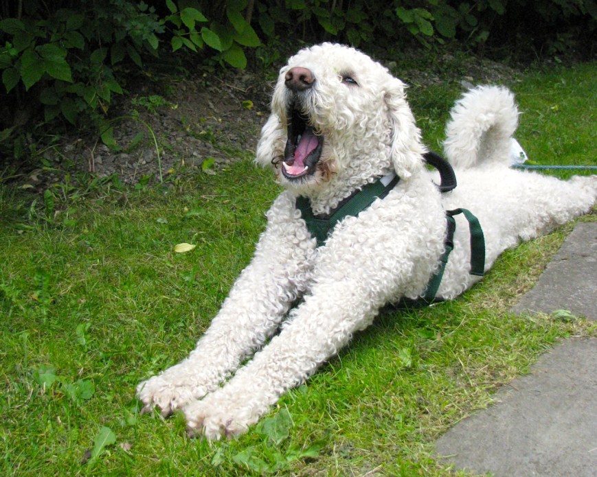 Let's go into the world!