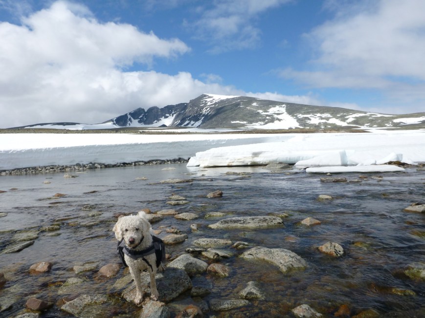 This is more like it!