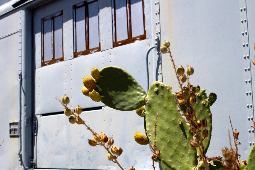 IMG_7585 rusty train