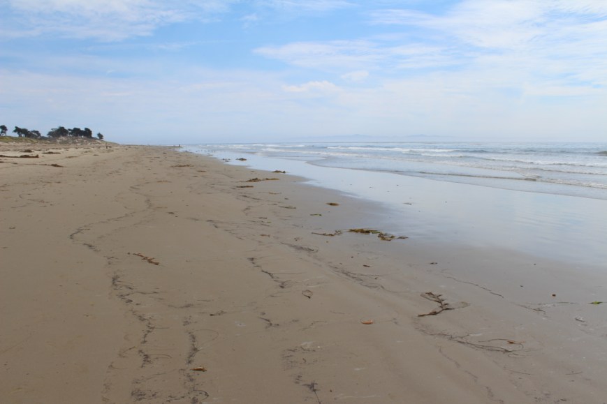 Clothes that speak of freedom...