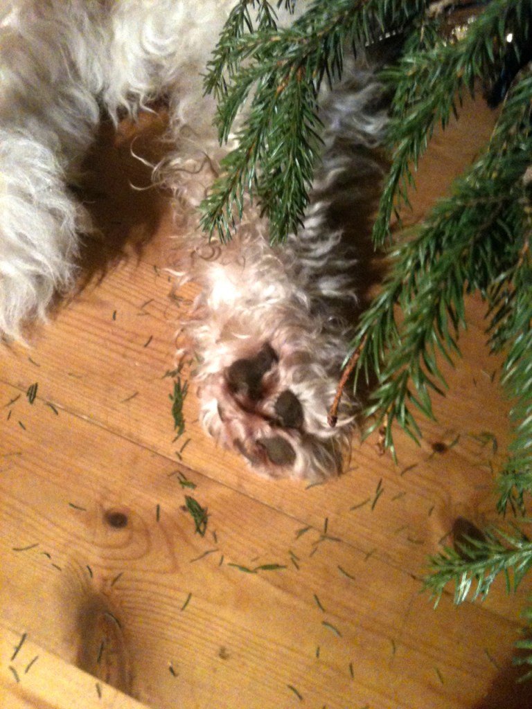 Trees inside? Perfect for hiding.