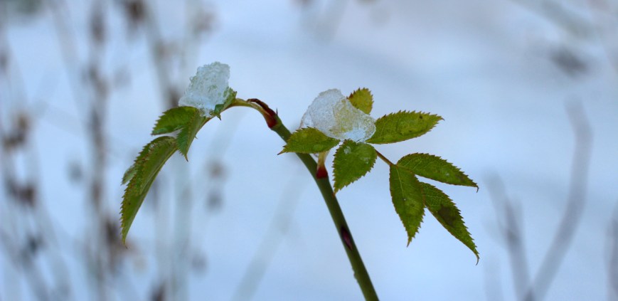 While I used to insist on activity