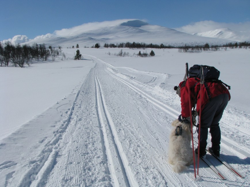 IMG_3230 27. desember