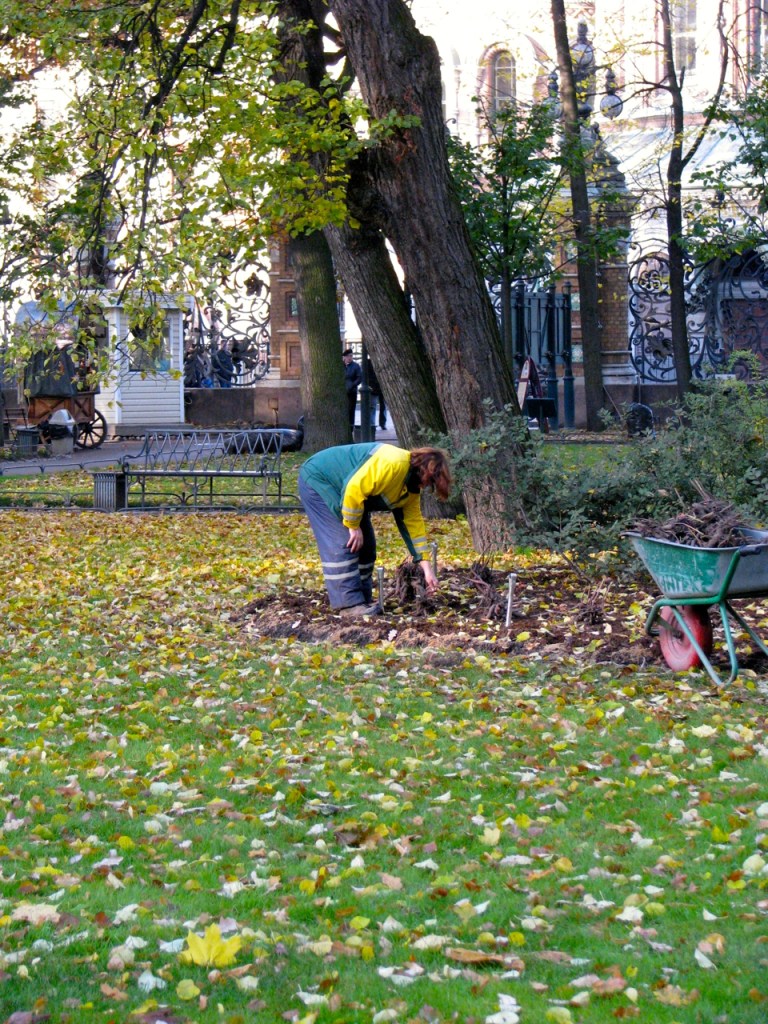 IMG_2492 easy task 12 januar