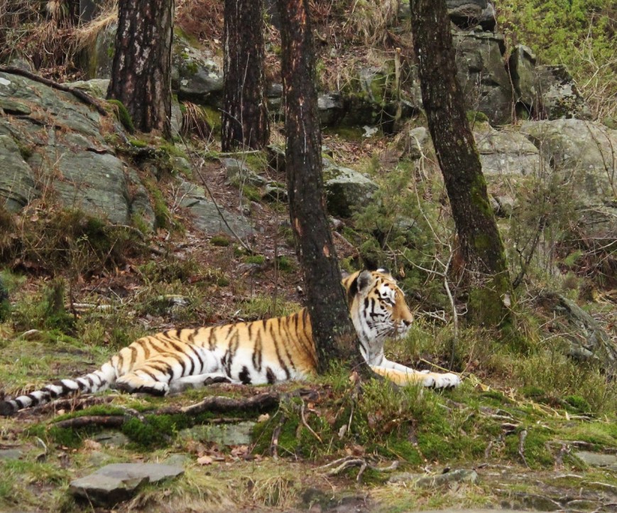 IMG_4514 (1280x1064)