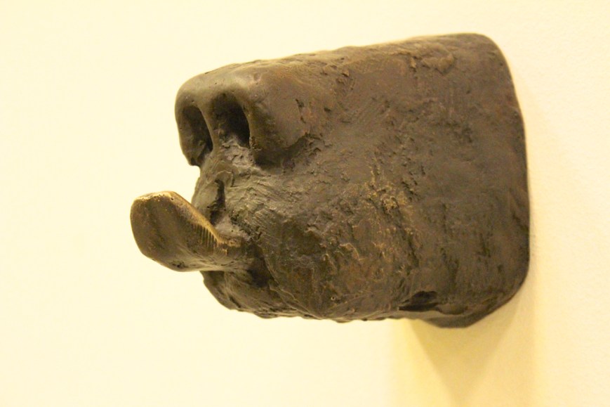 IMG_8718 bjørnetunge